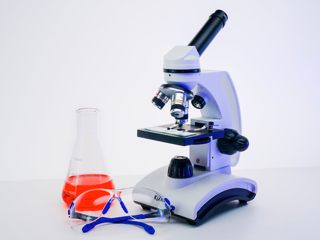 Oral Cell Renewal and Oral Health: Scientific Analysis of Gum Issues
